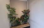 Vand apartament 3 camere  decomandat bloc 2023 Tractorul Mozaic Residence - 2