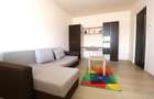 Apartament 1 camera , zona Lipovei - 2