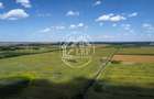 Teren Intravilan 9.918 mp Creața Dascălu, T66– Parcelabil - 6