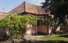 Potențial imobiliar! casa curte, front 15 m, teren 11000 mp - 10