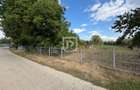 Casa + 1.600 MP teren Intravilan – Băișești | Aproape de Școală - 12