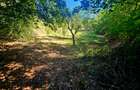 Teren intravilan 2322 mp, Păcuri – vedere superbă spre pădure! - 9