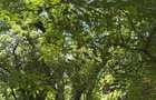 Investitie 2 Camere Intrare Parcul Circului - 7