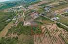 Teren intravilan 1,163mp de vânzare în Săldabagiu De Munte - 7