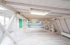 Vila Lux 5 Camere - Romana - 13