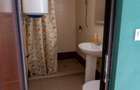 Spațiu comercial cu teren 1.860 mp și vad comercial format-Jiblea Veche, Călimăn - 11