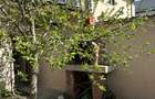 Vilă P+1 4 camere Teren 300 mp  Bragadiru – Strada Safirului - 24