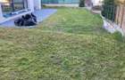 Apartament 5 camere pe 2 niveluri 159mp, GRADINA 350mp,zona Campului - 6