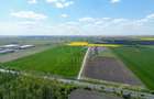COM 0% Teren industrial pentru hale, servicii | DN69 Sanandrei - 3