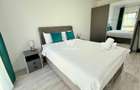 Apartament 2 camere deosebit in zona Doamna Stanca, Dedeman - 11