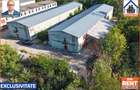 Hale de inchiriat in 1 Decembrie Ilfov | NILS Imobiliare - 2