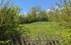 Teren Intravilan  – Provița de Jos | 1.939 mp | Curent electric - 6