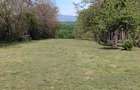 Teren zona montana in com.Turcinesti Jud.Gorj - 7