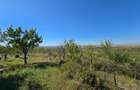Teren 8.472 mp – Ghioroc Valea Domneasca - 3