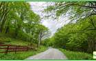 Teren forestier compact, 39,42 ha, Cheia – Măneciu, ECX30374 - 3