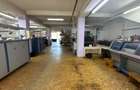 Spatiu de productie / depozit / birouri - 4