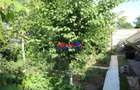 Tartasesti/ Vila 4cam-190mp-teren 755mp - 17