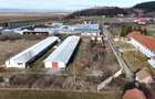 Teren intravilan 1.729 mp + hală parțial demolată | Teliu I Comision 0 - 8