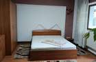 Apartament 1 camera gara strapungere silvestru - 2