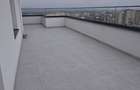 Penthouse 3 camere Craiovei - 11
