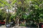 Apartament 4 camere, centrală proprie, parcare, 5 min metrou Apărătorii Patriei - 10