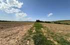 Teren langa padure pentru casa, Cercu, Barnova, de la 500mp la 4000mp - 8