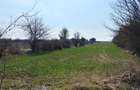 Teren intravilan Măgurele langa padurea Cornetu si Arges - 4