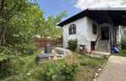 2 Case + teren 1390 mp langa parcul central Provita de Sus - 30
