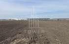 Teren intravilan de vânzare – 10.000 mp – Zona Industrială Vest | Comision 0% - 2