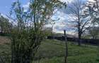 Teren intravilan de vânzare – 1.800 mp – Fântâna Doamnei, județul Călărași  - 1