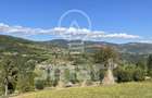 Teren de vânzare  1000 mp  Mătișești zona Belis Marisel in Parc Natural Apuseni - 4