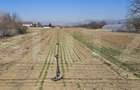 Teren intravilan de vanzare, 4550 mp, în zona Sântuhalm - 1