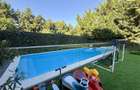 Vila Individuala de Lux cu Piscina | Iancu Nicolae - 34