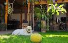 Vila de vânzare Chitila - lângă parc - Proprietar 0% comision - 14