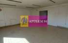 Spațiu comercial [birou sau hala] 150mp, zona Basarabia-Republica-Faur - 7