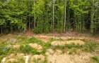 Teren intravilan 3000 mp in Porumbacu de Sus din Sibiu - 10