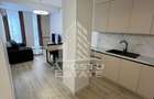Apartament cu 2 camere de inchiriat, zona Lipovei, Centrala Proprie - 2