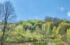 Teren vedere panoramică lac Paltinu si dealuri împădurite in Valea Doftanei - 17