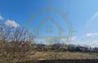 DOM00432 - Teren de vanzare la lac Snagov - 4