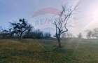 Teren intravilan generos 3.206 mp în Remecioara | Priveliște deosebită - 4