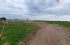 Teren intravilan cu suprafata de 58.340 mp, in Sanmartinul Sarbesc - 24