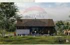 10.51 Euro + TVA / mp: Teren Bran Predelut, 24.253 mp, intravilan - 10