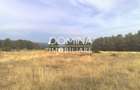 Vanzare teren intravilan 6843 mp, aproape de Manastirea Polovragi - 5