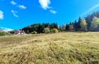 TEREN INTRAVILAN-EXTRAVILAN SPECTACULOS LANGA RESORTUL CHEILE GRADISTEI -FUNDATA - 8