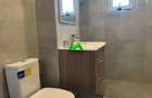Apartament de inchiriat 3 camere 2 bai Sibiu Central - 8