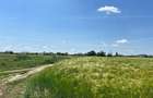vanzare teren în Măgurele, Pruni, strada Argeș 12000 euro - 8