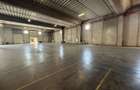 De vanzare parc logistic premium – randament imediat - Chitila - 10