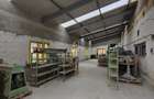 Teren + hale industriale 8785mp + casă–Oportunitate investiție / producție – - 18