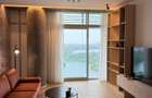 Apartament unic Floreasca etajul 20 - 10