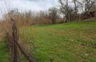 Vanzare teren intravilan, Lacul Sarulesti, 1.000 mp, comision 0% - 6